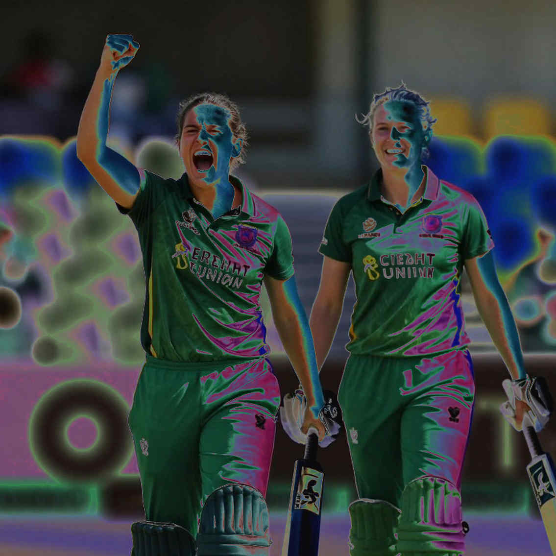 ২৭ কোটি টাকার পাঠ: আইপিএল নিলাম-বাজার কী কেনে, আর কী গুনতে ভুলে যায়